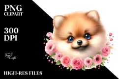 Happy Baby Pomeranian, PNG Product Image 2