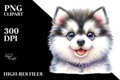 Happy Siberian Husky with Crazy Fur Product Image 2