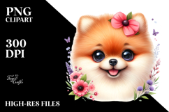 Cute Baby Pomeranian, PNG Product Image 2