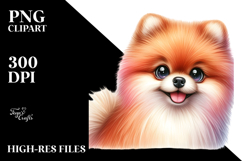 Cute Baby Pomeranian, PNG Product Image 2