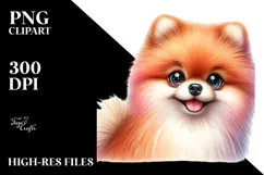 Cute Baby Pomeranian, PNG Product Image 2