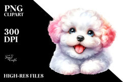 Baby Bichon Frise PNG Product Image 2