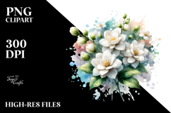 Jasmine in Watercolor, Transparent PNG Product Image 2