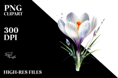 Crocus with Metallic Insertions PNG Product Image 2