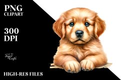 Sublimation|Clipart Product Image 1