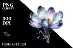 Shiny -Like Crocus | Watercolor Splash Product Image 1