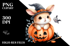Cute Baby Bunny, Transparent PNG Product Image 2