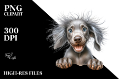 Baby Weimaraner PNG Product Image 2