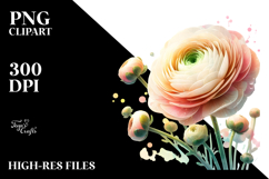 Ranunculus with Insertions, Transparent PNG Product Image 2