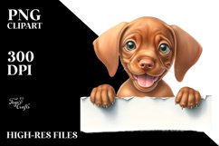 Funny Baby Vizsla Watercolor Clipart Product Image 1
