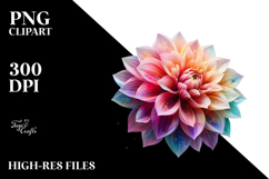 Dahlia, Transparent PNG Product Image 2
