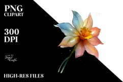 Pastel Shiny Daffodil Transparent PNG Product Image 2