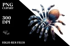 Spooky Tarantula Tshirt|Tumbler|Mug|Clipart Product Image 3