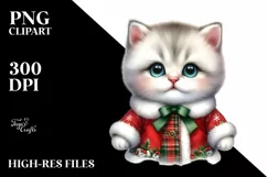 Christmas Baby Cat with Big Eyes PNG Product Image 1