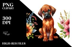 Sublimation|Clipart Product Image 3