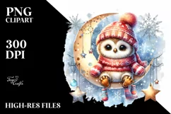Cute Vibrant Christmass Owl PNG Product Image 1