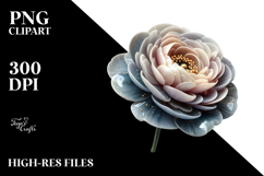 Abstract Ranunculus, Transparent PNG Product Image 2
