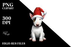 santa hat,bull terrier,sitting Product Image 2