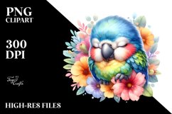 Colorful Cute Baby Macaw Clipart Product Image 1