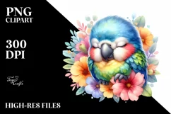 Colorful Cute Baby Macaw Clipart Product Image 1