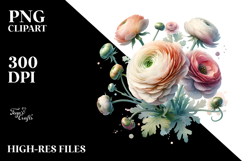 Ranunculus, Transparent PNG Product Image 2