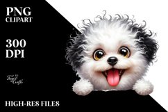 Funny Bichon Frise | Sublimation | Clipart Product Image 3