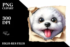 Funny Bichon Frise, Peek-A-Boo | Sublimation | Clipart Product Image 1