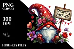 Valentines Gnome with Detailed Hat PNG Product Image 2