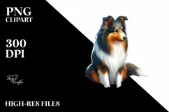 Collie in Sand with Surf and Slippers | Sublimation | Product Image 1