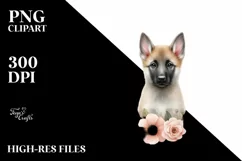 Colorful Watercolor Malinois | Sublimation | Clipart Product Image 3