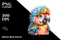 Baby Macaw Watercolor PNG Product Image 2