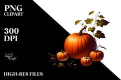 Black Cat and Pumpkin, Transparent PNG Product Image 2