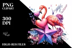 Colorful Flamingo on Star PNG Product Image 2
