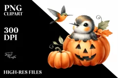 Cute Baby Hummingbird PNG Product Image 3