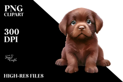 Baby Chesapeake Bay Retriever with Crazy Eyes, Watercolor Product Image 2