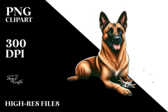 Watercollor Malinois Sitting in Sand | Sublimation | Clipart Product Image 2