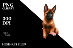 Watercollor Malinois Sitting in Sand | Sublimation | Clipart Product Image 2