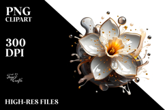 Elegant -like Daffodil, Transparent PNG Product Image 2