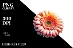 Gerbera with Watercolor Splash PNG Product Image 2