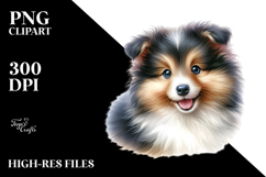 Watercolor Baby Shetland Sheepdog with Big Eyes PNG Product Image 1