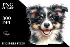 Sublimation|Clipart Product Image 2