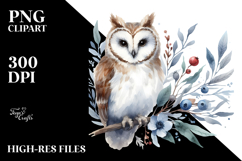 Simple Washed Owl, Transparent PNG Product Image 2
