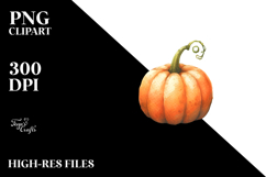 Funny Simple Pumpkin, Transparent PNG Product Image 2