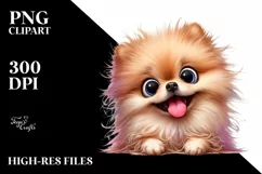 Crazy Funny Pomeranian | Watercolor Clipart Product Image 3