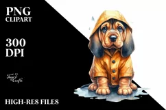 Cute Bloodhound with Rain Coat PNG Product Image 1