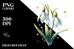 Snowdrop Material PNG Product Image 2
