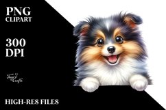 Baby Shetland Sheepdog Clipart Product Image 1