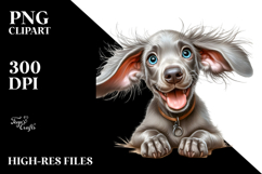 Baby Weimaraner, Transparent PNG Product Image 2