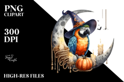 Macaw Dressed for Halloween on Half Moon PNG Product Image 2