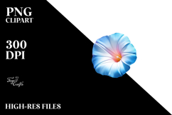 Morning Glory with Watercolor Splash, PNG Product Image 2